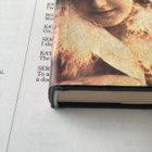 Runar Schildt - Noitametsä: novelleja (sid.) - pikkukuva 2