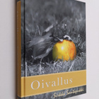 Sirkka Santapukki : Oivallus - pikkukuva 1