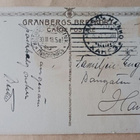 Nuoret Pääsiäismunakorin ja kukkien kanssa, p. 1918 - pikkukuva 2