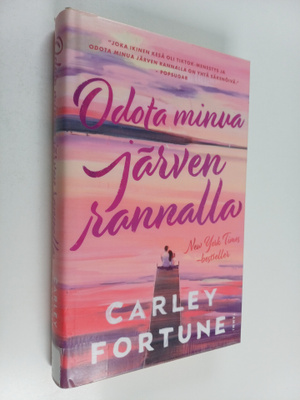 Carley Fortune : Odota minua järven rannalla