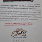 kirja lapselle, Mauri Kunnas; Joulupukki ja noitarumpu - pikkukuva 3
