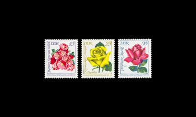 DDR 1778-80 ** Kansainvälinen ruusunäyttely (1972)