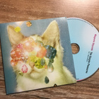 Magenta Skycode . The simple pleasures CDS single - pikkukuva 1