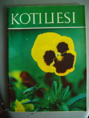 Kotiliesi Nro 19/1965. (20.3)
