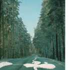 kortti **/° Kerimäki tai Punkaharju - erilaisia - pikkukuva 3