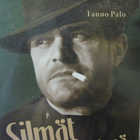 SILMÄT HÄMÄRÄSSÄ DVD - pikkukuva 1