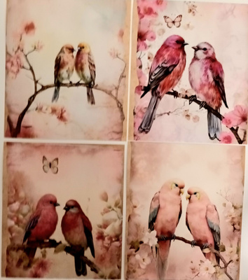 Kuviokartonki LINNUT / 4 kpl -setti / 13 x 15 cm