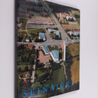 Kalevi A. Makinen : Seinäjoki - pikkukuva 1