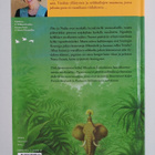 Isabel Allende : Pygmien metsä - pikkukuva 2