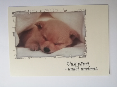 Uusi päivä - uudet unelmat