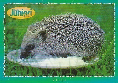 Postikortti, Eläinaihe, eläimet ,siili