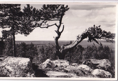 Vuokatti. Kesäkuva U. Lappi b469