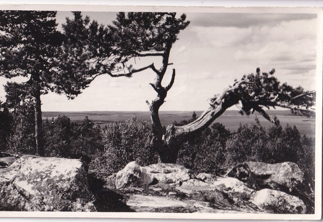 Vuokatti.  Kesäkuva U. Lappi  b469