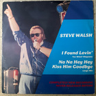 [12''] STEVE WALSH: I FOUND LOVING - pikkukuva 1