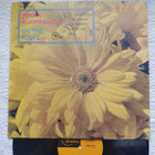 Jukka Kuoppamäki & Candy – On The Rocks LP RE - pikkukuva 1