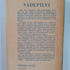 Satu Waltari : Sadepilvi : rakkauskertomus - pikkukuva 2