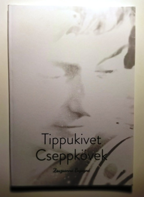 Tippukivet Cseppkövek Zsuzsanna Bajayné