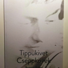 Tippukivet Cseppkövek Zsuzsanna Bajayné - pikkukuva 1