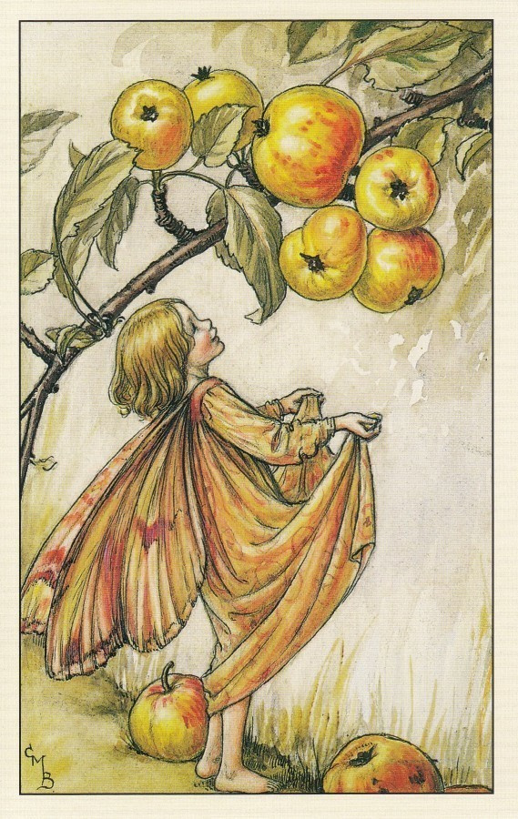 Cicely Mary Barker: Kukkakeijut villiomenapuu