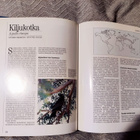Dick Forsman : SUOMEN HAUKAT JA KOTKAT - pikkukuva 3
