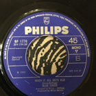 BLUE CHEER:West Coast Child of Sunshine * When It All Gets…. - pikkukuva 2