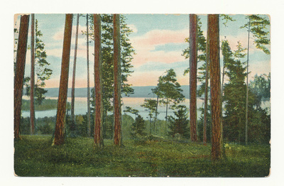 RUOVESI - Nuijan harju - vanha Carte Postale