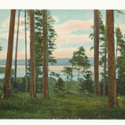 RUOVESI - Nuijan harju - vanha Carte Postale - pikkukuva 1