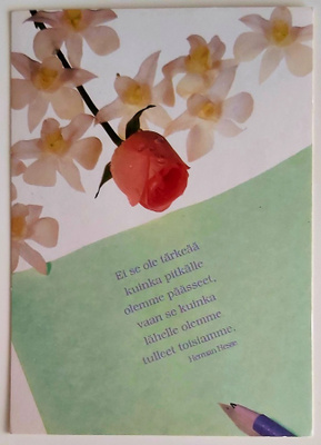 "Ei se ole tärkeää..."-KULKEMATON POSTIKORTTI