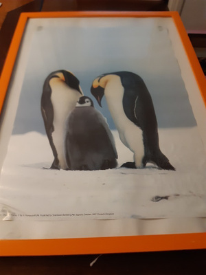 Pingviiniperhejulistetaulu