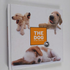 Vera Olbricht : The dog artlist collection - pikkukuva 1