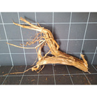 Uniikki akvaariojuurakko 55 cm | P142618 - pikkukuva 5