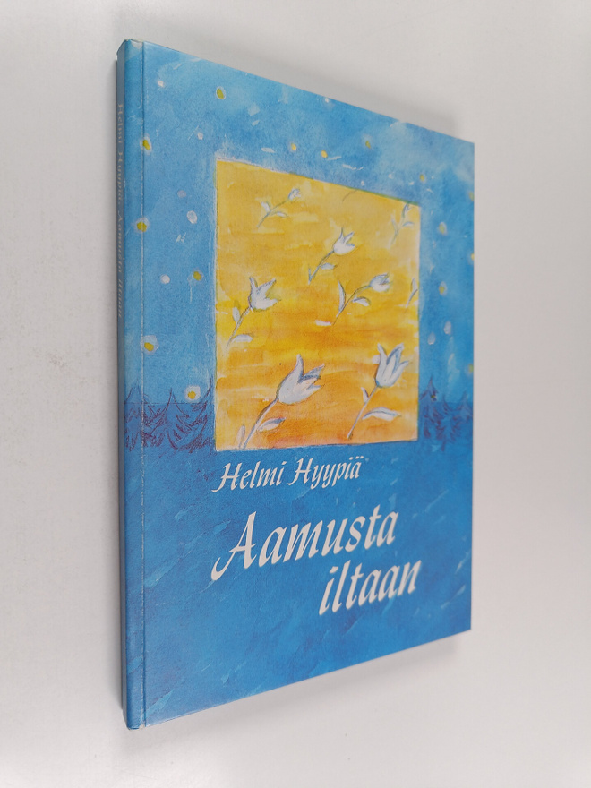 Helmi Hyypiä : Aamusta iltaan