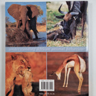 Peter Apps : Creatures of Habit - Understanding African A... - pikkukuva 2