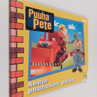 Diane Redmond : Annin puuhakas päivä - pikkukuva 1