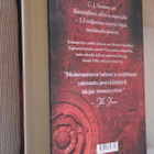 C. J. Sansom : Amuletti ( 1.p. 2017 ) - pikkukuva 2