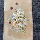 Käsinmaalattu postikortti vuodelta 1883 - pikkukuva 1