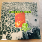 lp David Cassidyn live - pikkukuva 1