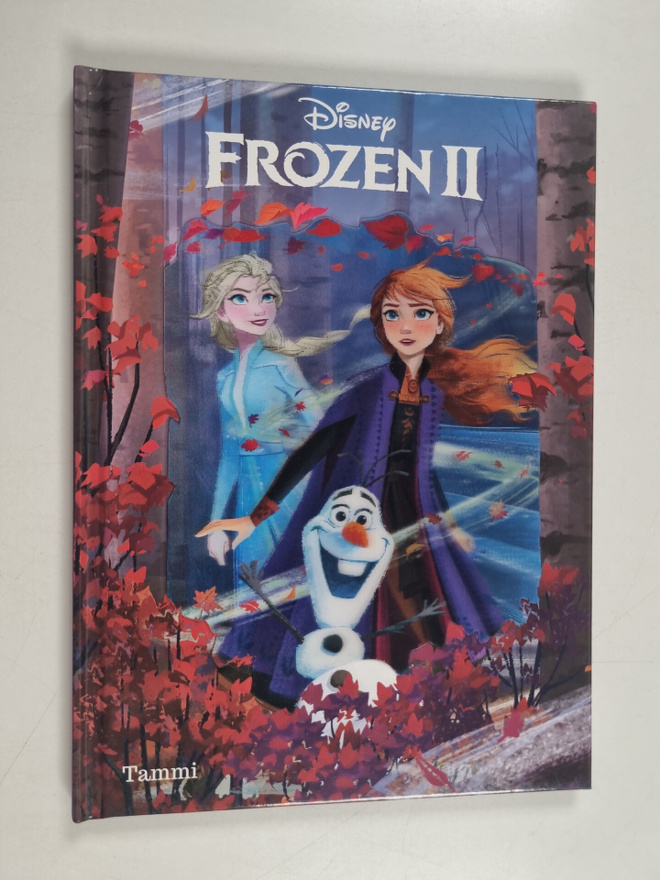 Frozen 2 : Taikakansikirjat