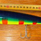 Nils Master Invincible 25CM 5 - pikkukuva 1