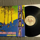 Pelle miljoona & Linnunlaulu -Sadepäivän ihmisiä LP - pikkukuva 1