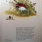 Muumipeikon metsäretki - Lasten kirja - pikkukuva 2