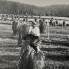 Valokuva 1956, vintage - pikkukuva 3