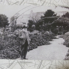 Portrait de Claude Monet, postikortti kulkematon - pikkukuva 1