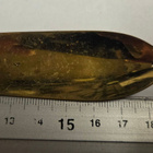 Lohilappu Lohenkyynel 4 - pikkukuva 2