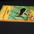 Tintin seikkailut Rakham Punaisen aarre - pikkukuva 3