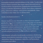 Jukka Relander: Ankkalinna ja lajien synty - pikkukuva 3