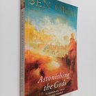 Ben Okri : Astonishing the gods - pikkukuva 1