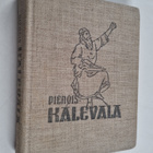 Pienois-Kalevala - pikkukuva 1