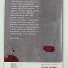Pasi Thölix : Pilvilinna - Pasi Thölixin selviytymistarina - pikkukuva 2