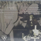 ANAL BLASPHEMY - PROFANE FORNICATION EJACULATION - UUSI LP - pikkukuva 2